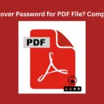 strip pdf security 1
